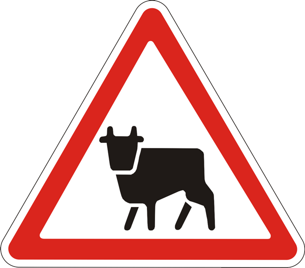 Предупреждающий дорожный знак 1.35 Перегон скота