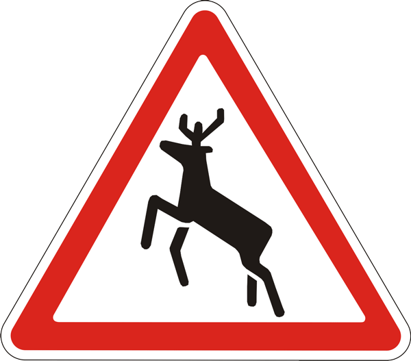 Предупреждающий дорожный знак 1.36 Дикие животные